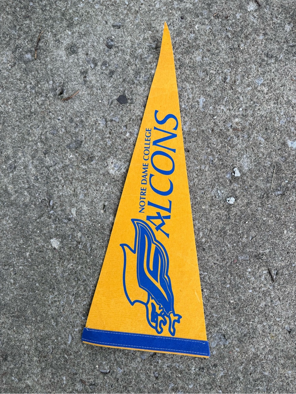 Notre Dame College Falcons Yellow & Blue Felt Pennant